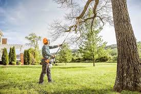 Best Lawn Dethatching  in Fairfield, TX