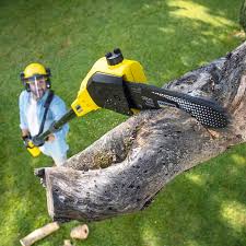 Best Tree Mulching  in Fairfield, TX